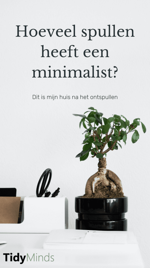 Minimalisme is een middel en geen doel | De spullen en het huis van een minimalist | Tidy Minds